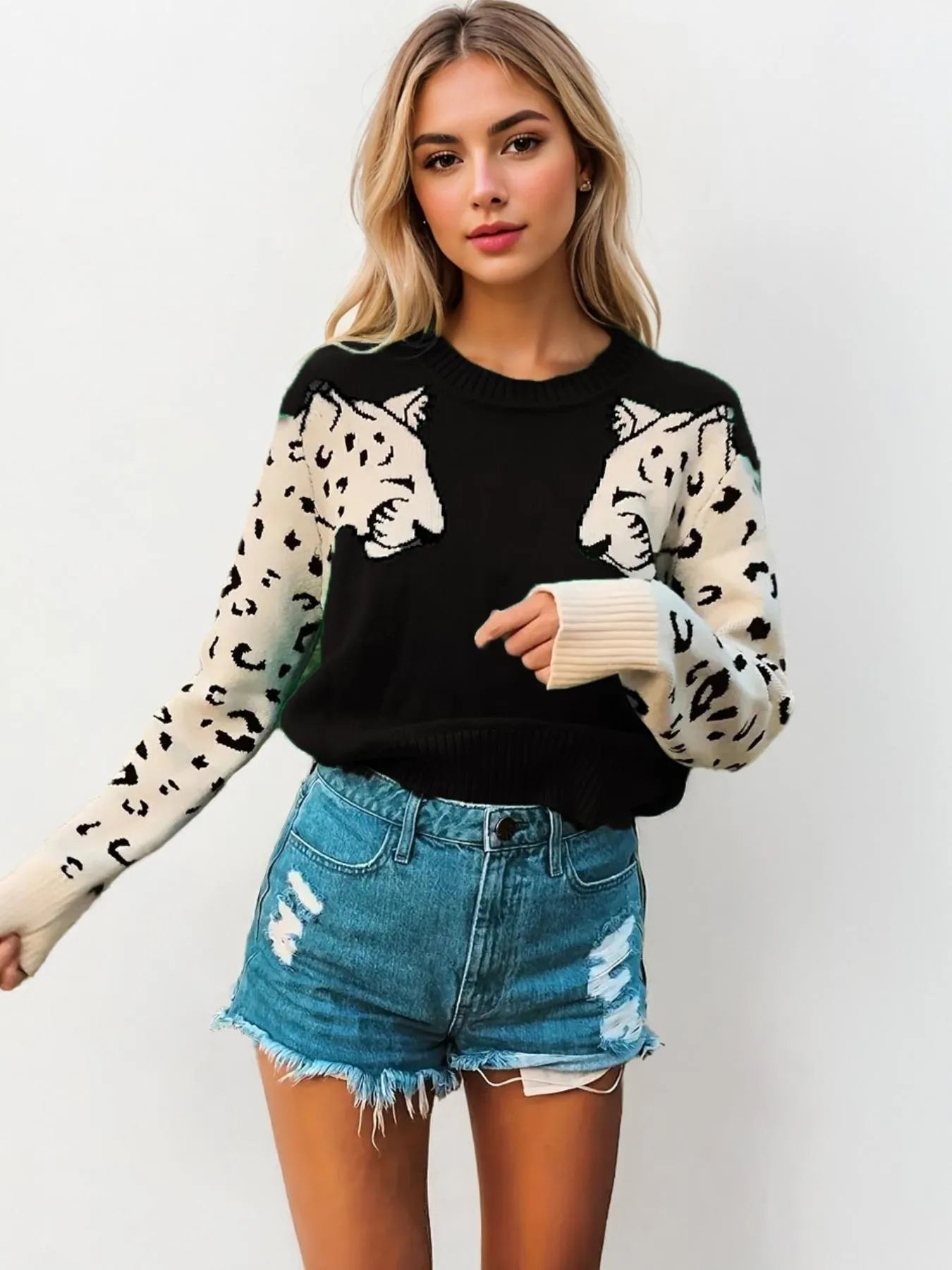 The Cats Meow Round Neck Sweater - Oh she Rose